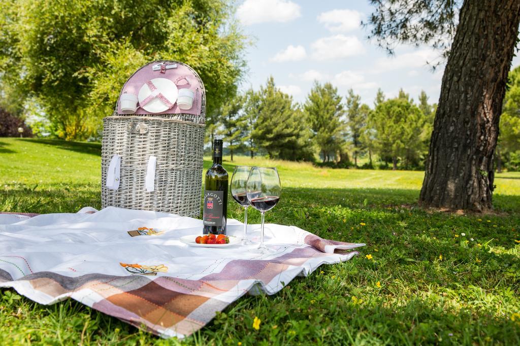 Agriturismo Colleverde Selvatelle ภายนอก รูปภาพ