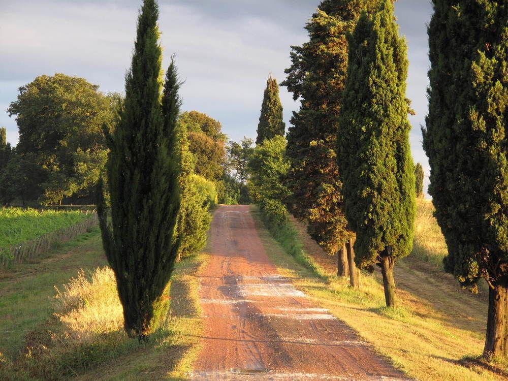 Agriturismo Colleverde Selvatelle ภายนอก รูปภาพ