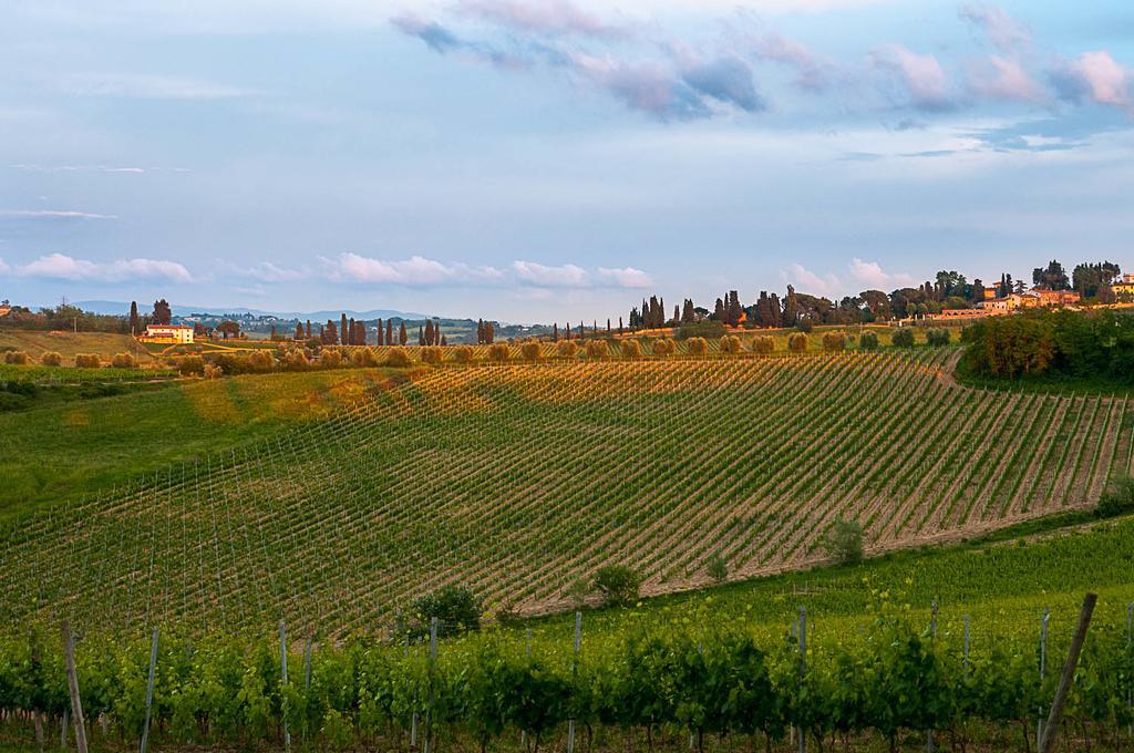 Agriturismo Colleverde Selvatelle ภายนอก รูปภาพ