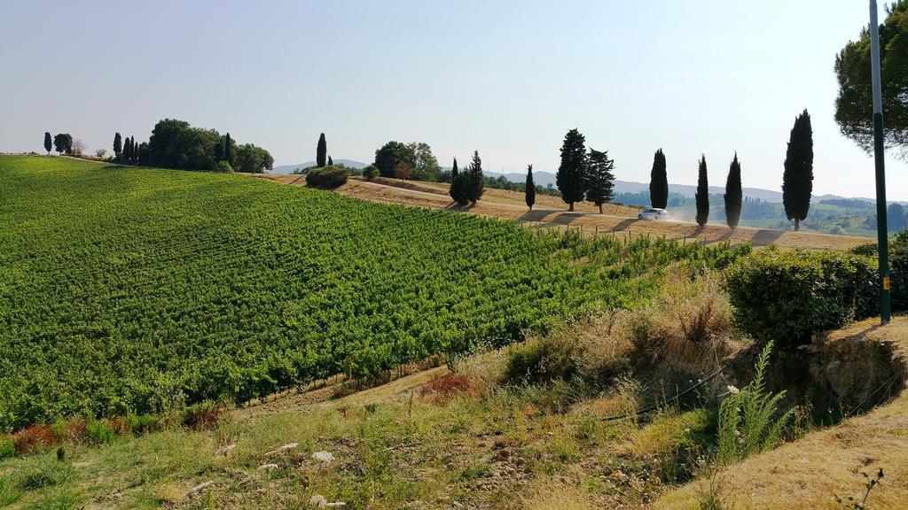Agriturismo Colleverde Selvatelle ภายนอก รูปภาพ