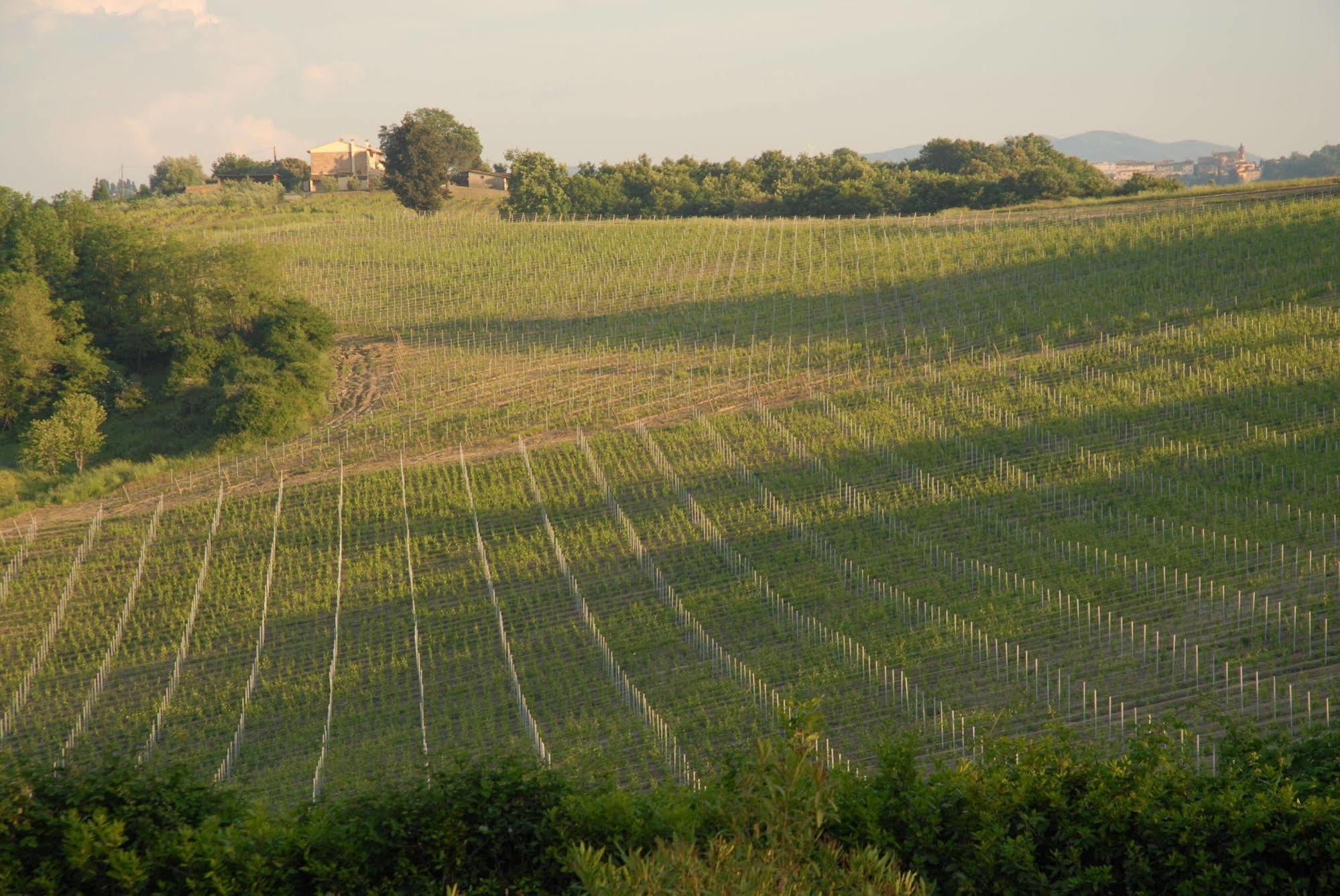 Agriturismo Colleverde Selvatelle ภายนอก รูปภาพ